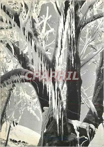 Cartes postales moderne Effet de Glace par Grange