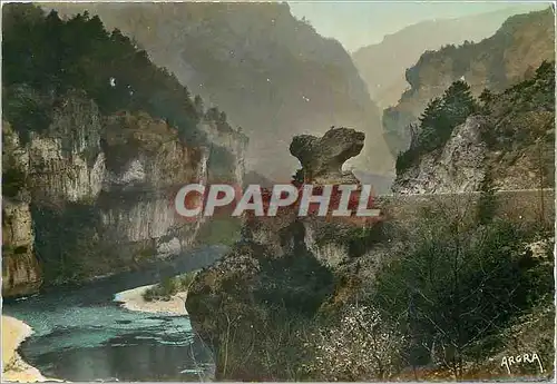 Moderne Karte Les Gorges du Tarn Le Champignon