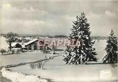 Cartes postales moderne Hiver Comtois