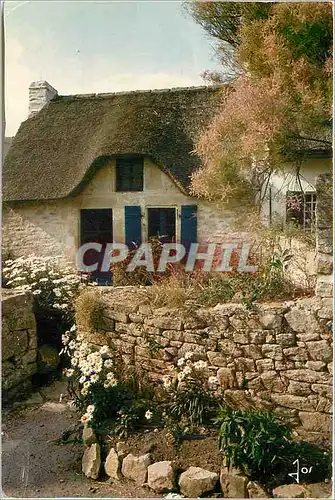 Cartes postales moderne Goelands Argentes