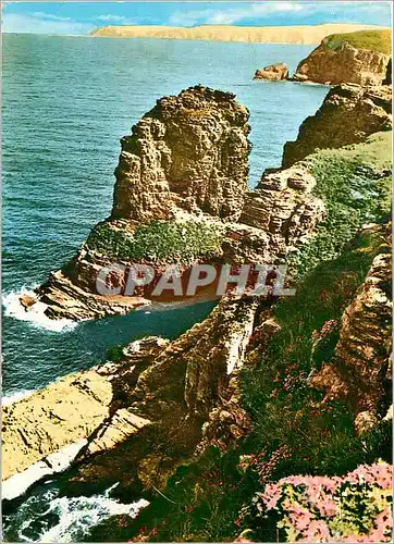 Cartes postales moderne Cap Frehel Cotes du Nord La Fauconniere