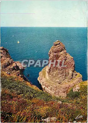 Cartes postales moderne Le Cap Frehel Rocher de la Fauconniere rouge violace