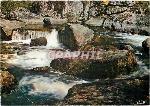 Cartes postales moderne Le Limousin Pittoresque Entre Neddle et Tarnac