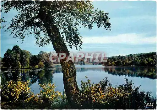 Cartes postales moderne Le Lac au miroir d'Argent Plein de Fraicheur et de Silence