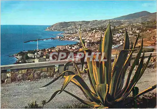 Cartes postales moderne Riviera del Flori Sanremo