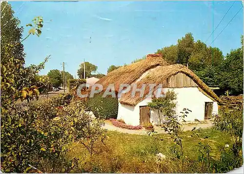 Cartes postales moderne En Vendee Au Pays de Monts Bourrine