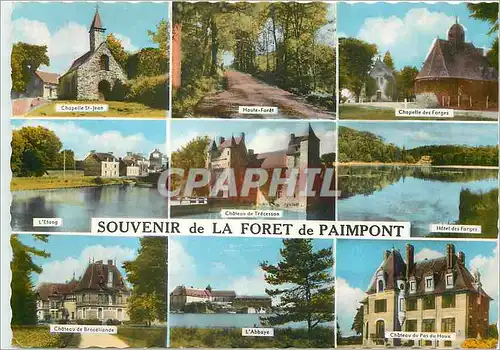 Cartes postales moderne Souvenir de La Foret de Paimpont