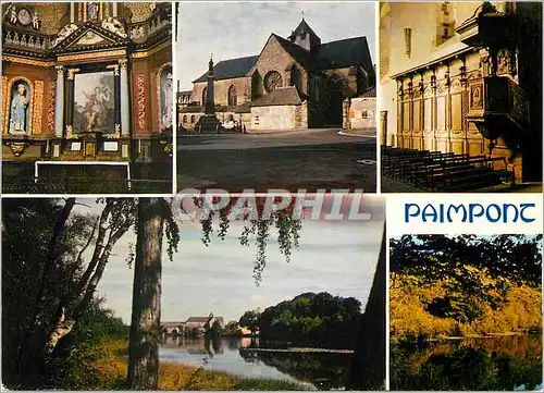 Cartes postales moderne Paimpont