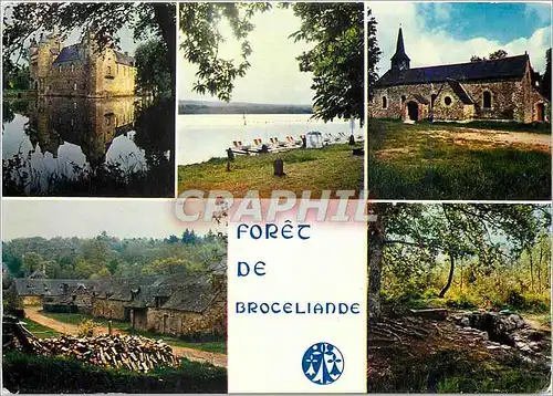 Cartes postales moderne Foret de Broceliande