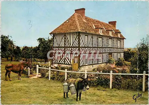 Cartes postales moderne La Normandie Depart pour la traite Ane Mule