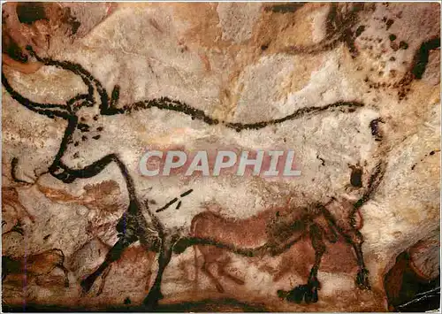 Cartes postales moderne Montignac sur Vezere Dordogne Grotte de Lascaux