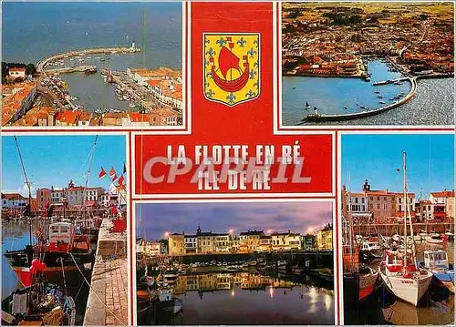 Cartes postales moderne La Flotte em Re Ile De Re