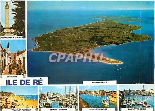 Cartes postales moderne Ile De Re