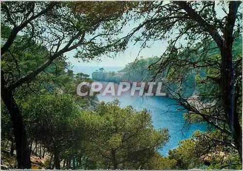 Moderne Karte Nos Belles Calanques Pres de Cassis Calanque de Port Pin