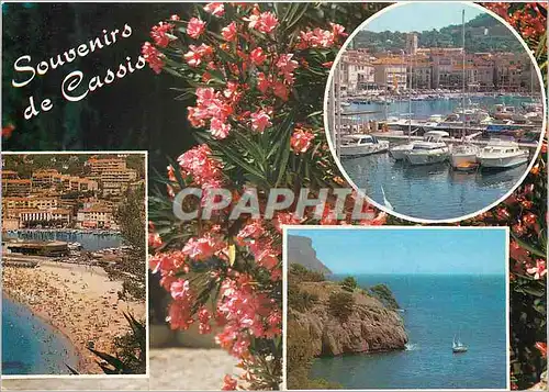 Cartes postales moderne Souvenirs de Cassis