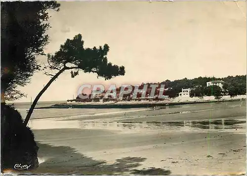 Cartes postales moderne Saint Palais sur Mer Char Mar