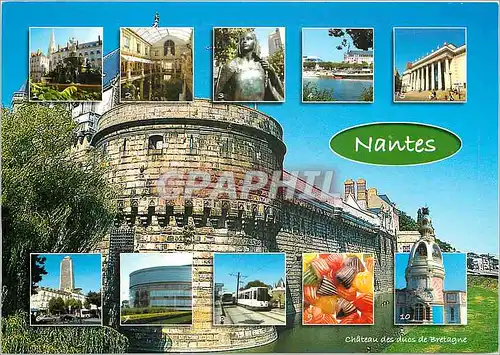 Cartes postales moderne Nantes Chateau des duos de Bretagne