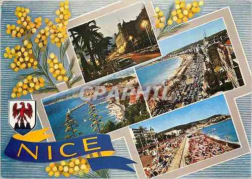 Cartes postales moderne Souvenir de Nice