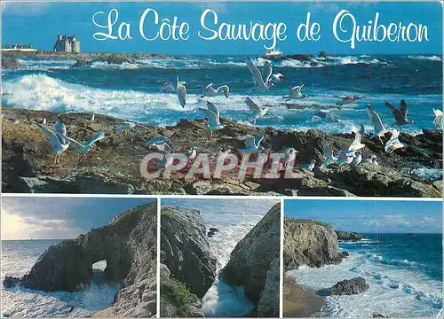 Moderne Karte La Cote Sauvage de Quiberon