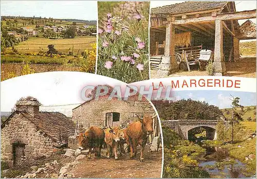 Cartes postales moderne Les Monts de la Margeride