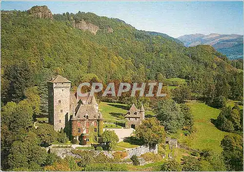 Cartes postales moderne Dans la Vallee de la Cere Le Chateau de Pesteils