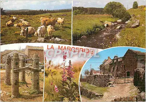 Cartes postales moderne La Margeride