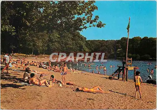 Cartes postales moderne Foret de Tronoais Plage de l'Etang de Piron