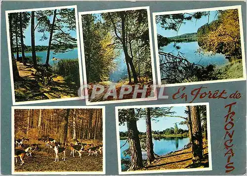 Moderne Karte En Foret de Troncais