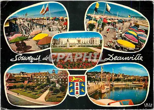 Moderne Karte Deauville Calvados Plage fleurie la plage