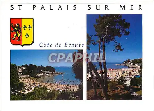 Cartes postales moderne St Palais sur Mer