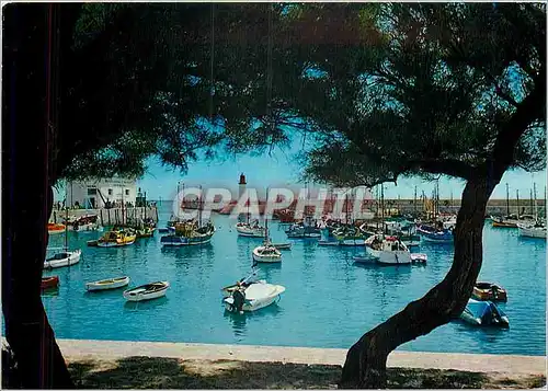 Cartes postales moderne Ile d'Oleron Charente Maritime La Cotiniere