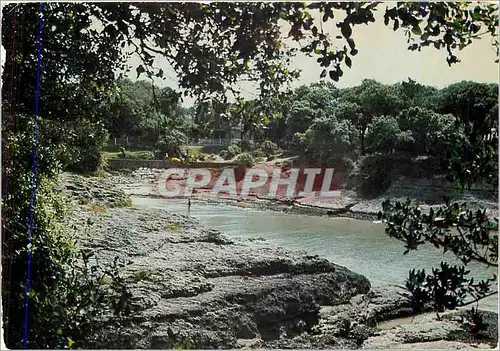 Cartes postales moderne Vaux sur Mer la plage des Fees