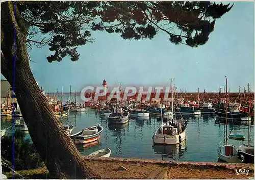 Cartes postales moderne L'Ile d'Oleron Le Port de la Cotiniere