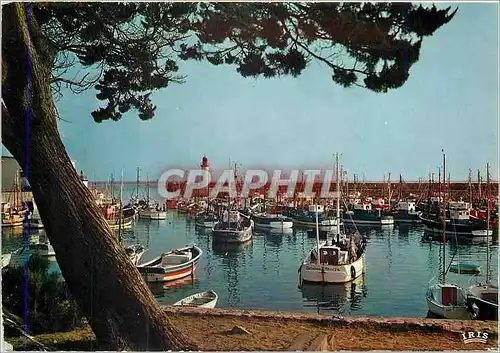 Moderne Karte L'Ile d'Oleron Le Port de la Cotiniere