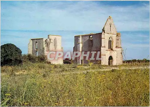 Cartes postales moderne Ile De Re Ruines de l'Ancienne Abbaye des Chateliers