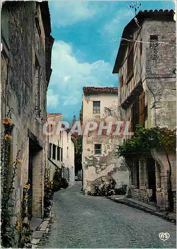 Cartes postales moderne Ile De Re Saint Martin C Mme Vieilles maisons