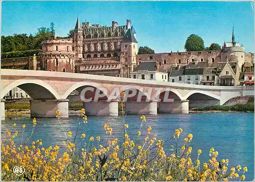 Cartes postales moderne Amboise L et L Le Chateau royal et le Pont sur la Loire