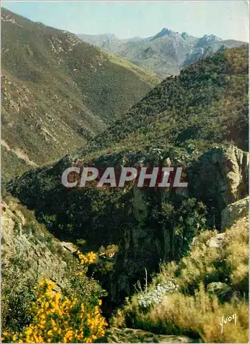 Cartes postales moderne Amelie les Bains Pyrenees Orientales La Route vers Montalba et la frontiere d'Espagne