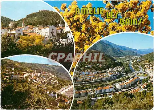 Cartes postales moderne Amelie les Bains