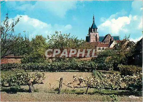 Cartes postales moderne Illiers Eure et Loir L'Eglise vue des Jardins