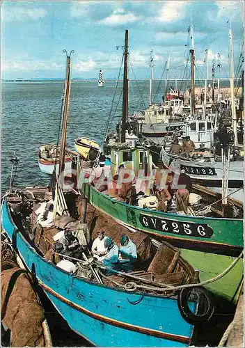 Moderne Karte Bretagne Loctudey Pecheurs au port preparant leus repas Bateaux