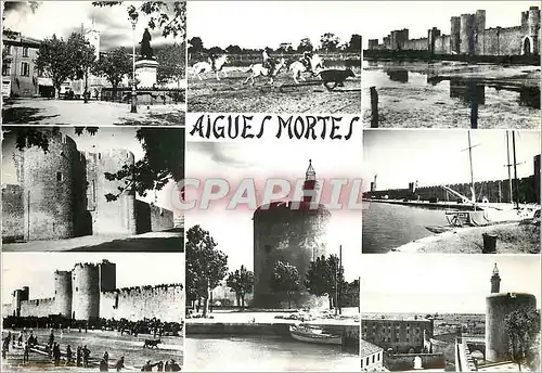 Moderne Karte Aigues Mortes Place St Louis Gardians et Taureaux Les Remparts Porte de la Gardette Tour de Cons