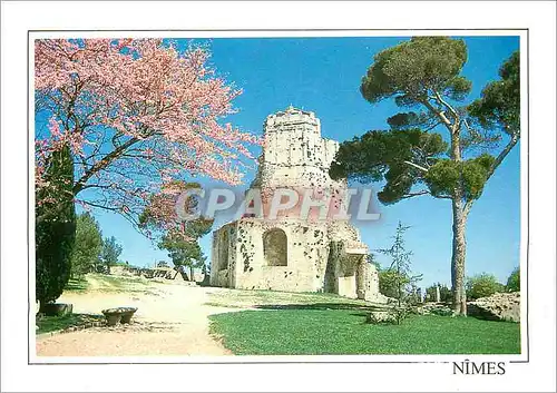 Cartes postales moderne Nimes Tour Magne