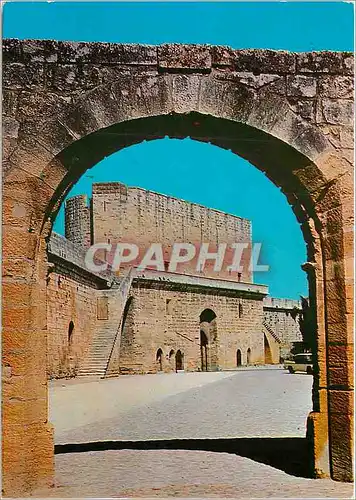 Cartes postales moderne Aigues Mortes et ses remparts L'entree de la ville