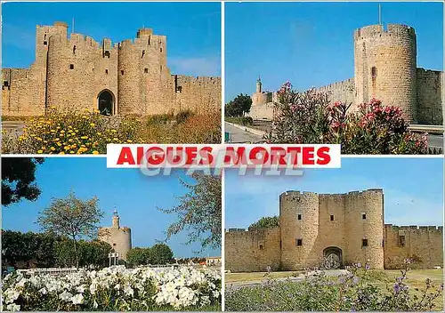 Cartes postales moderne Aigues Mortes Gard La Porte des Moulins La Tour des Bourguignons La Tour de Constance