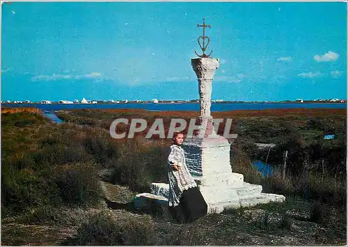 Cartes postales moderne Aigues Mortes Gard Arlesienne et la Croix des Gardians