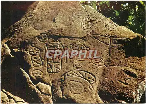 Cartes postales moderne Guadeloupe Roches gravees precolombiennes