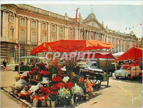 Cartes postales moderne Toulouse Haute Garonne Le Capitole