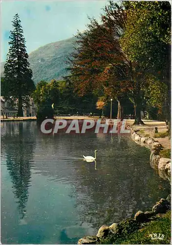 Cartes postales moderne Luchon Haute Garonne La Reine des Pyrenees Les jardins et le lac des Quinconces