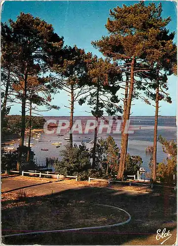 Cartes postales moderne Bassin d'Arcachon Gironde Echappee sur le Bassin